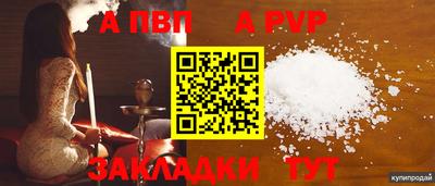 a pvp Дубна