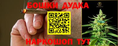 a pvp Дубна