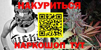 гидра Заводоуковск