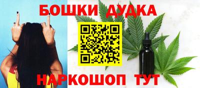 гидра Заводоуковск