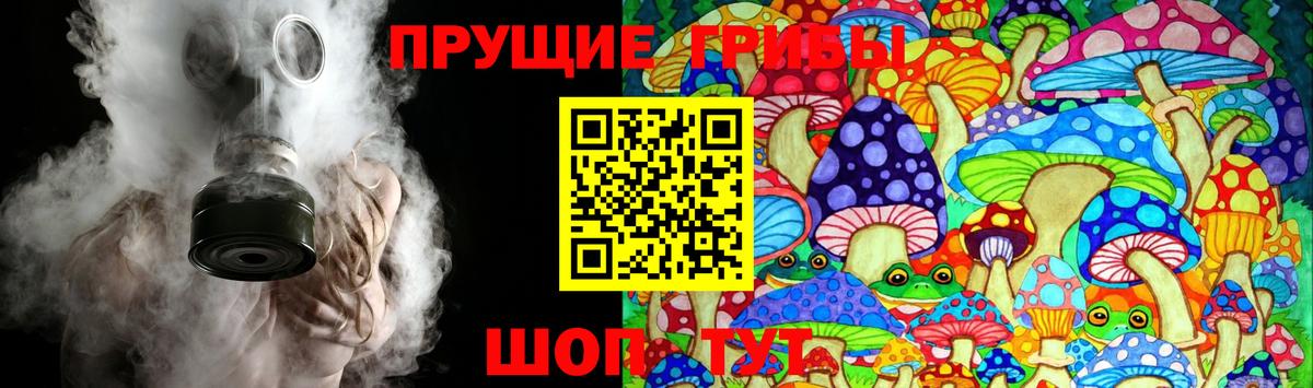 Галлюциногенные грибы мицелий Куйбышев