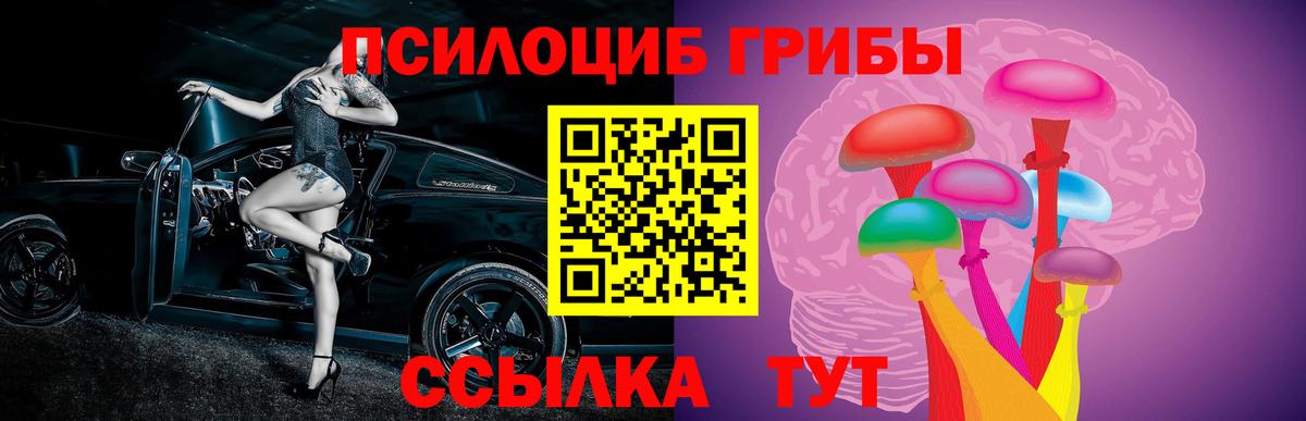 Псилоцибиновые грибы Psilocybine cubensis  Вход с VPN  Галлюциногенные грибы мухоморы  Куйбышев 